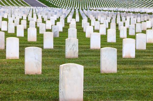 Free Abundance of Gravestones  Stock Photo