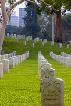 Peaceful military cemetery with aligned headstones and lush greenery, emphasizing history and remembrance.