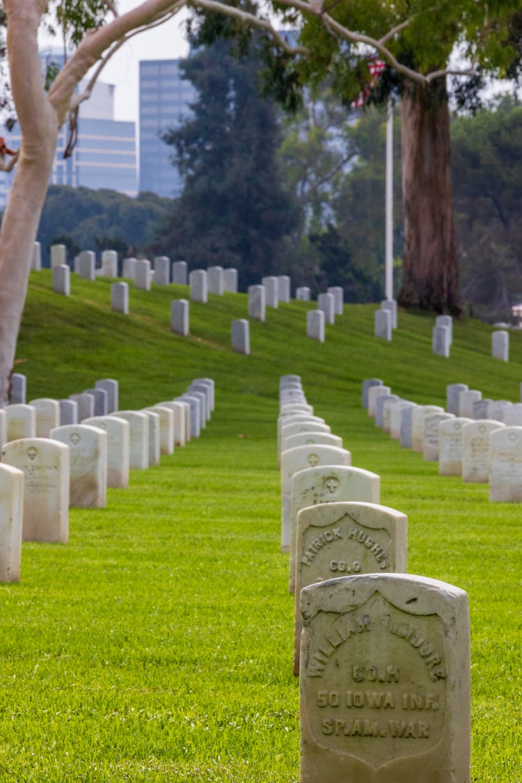 Military Cemetery In Summer