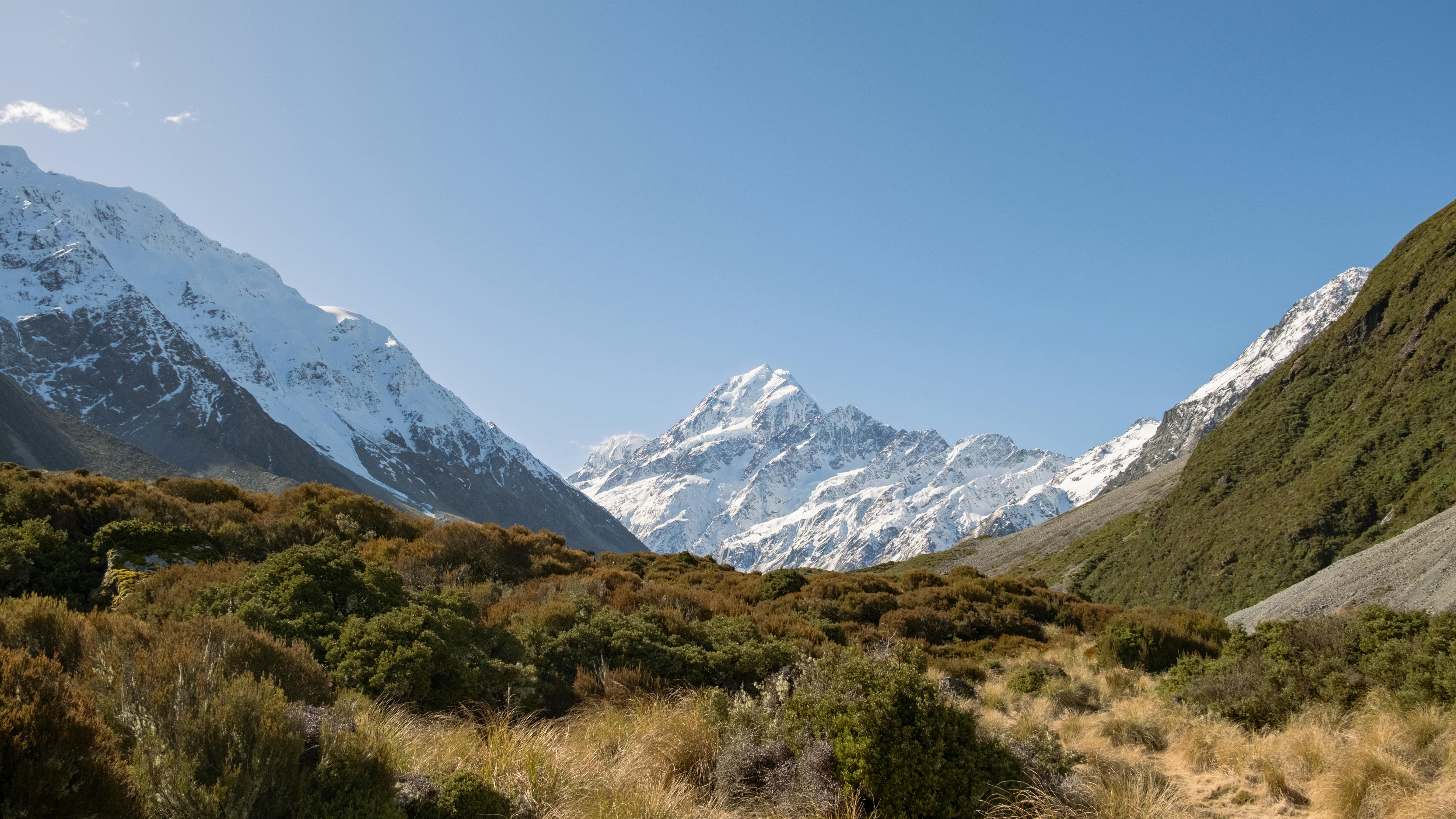 General Travel New Zealand concludes 5-city India roadshow to NZ tourism — Photo by Shashank Brahmavar on Pexels