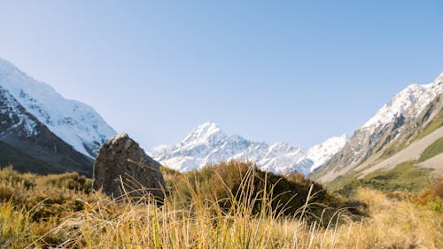 Kostenloses Stock Foto zu aoraki, aotearoa, bäume