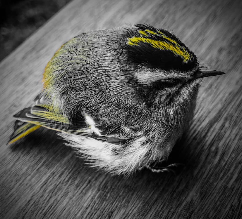 Silent Hill 2 DLC In Doubt? Actor's Update Shakes Fan Hopes 1 A foggy, dark forest path creating a sense of horror and mystery.