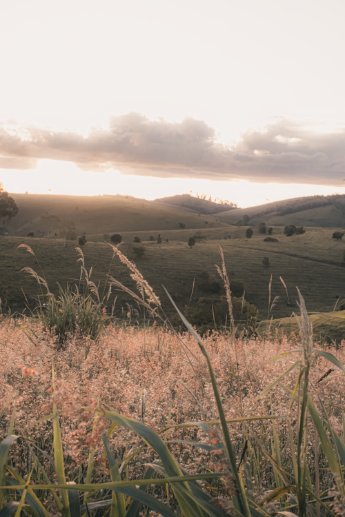 Free Gorgeous sunset view of Alto Rio Novo's rolling hills and wildflowers, capturing a tranquil rural summer scene. Stock Photo