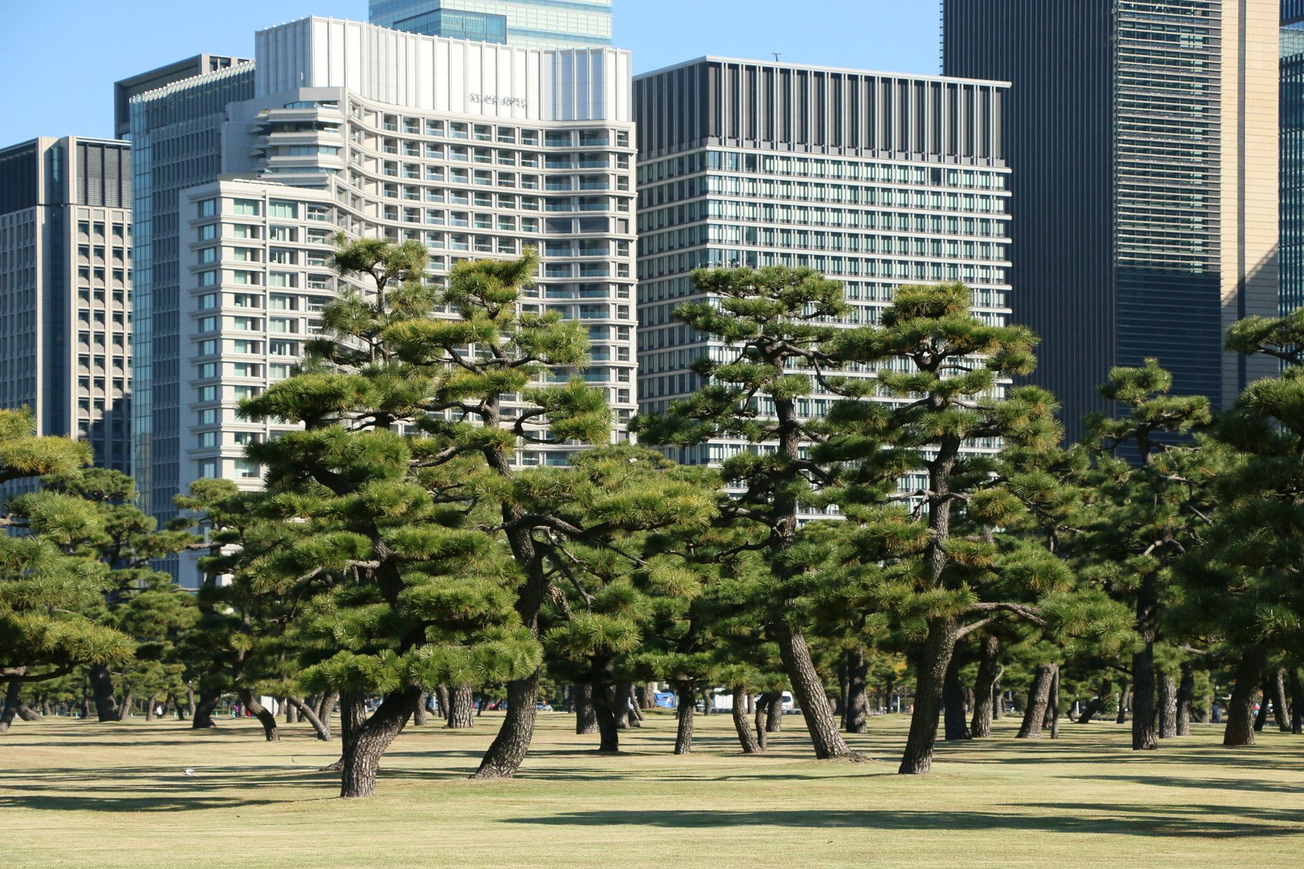 Imperial Palace