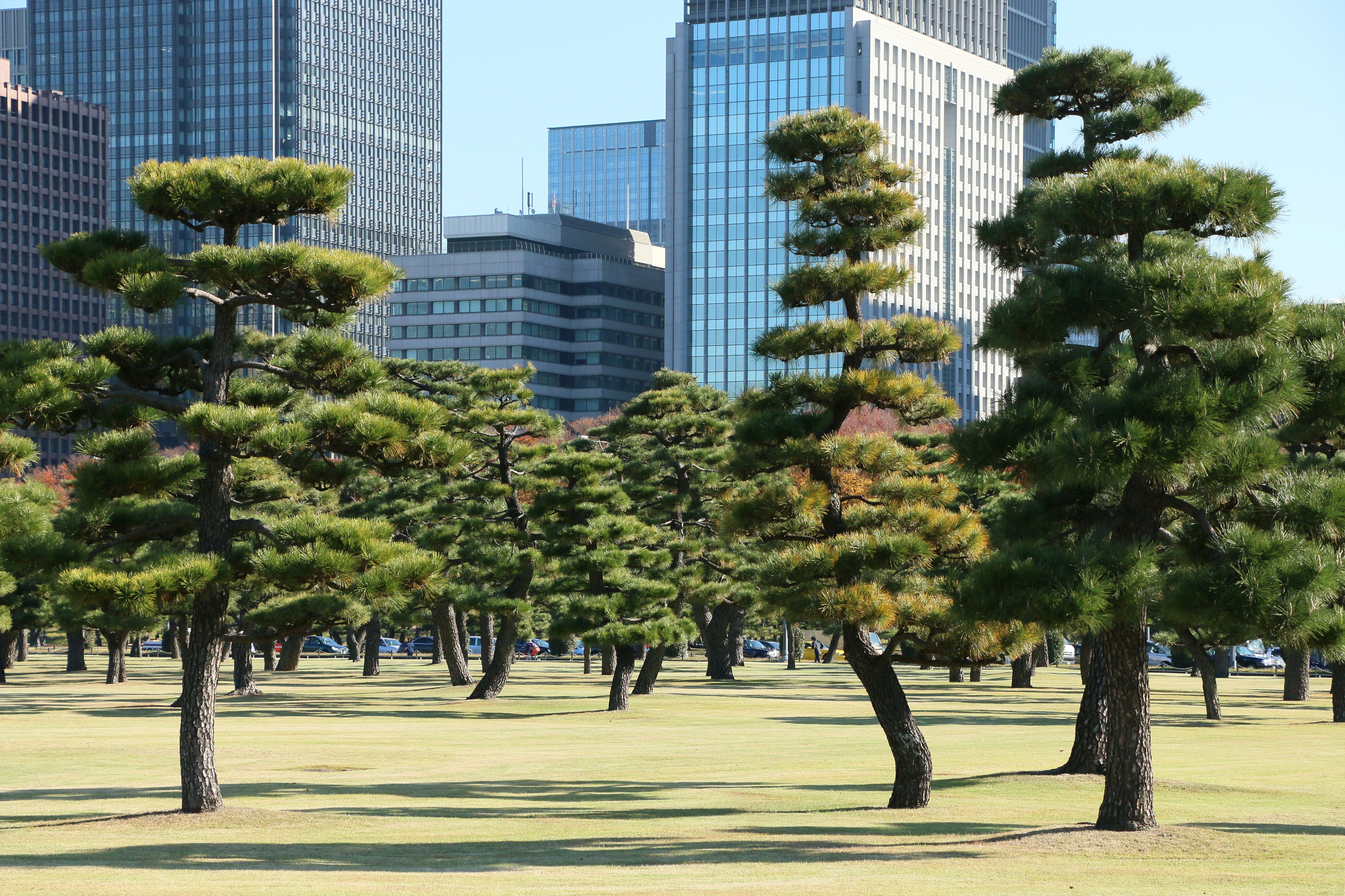 Hamarikyu Gardens