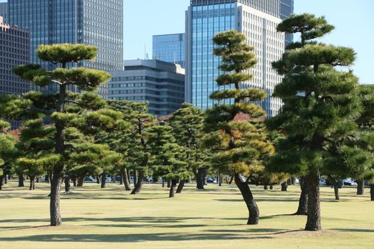 Hamarikyu Gardens