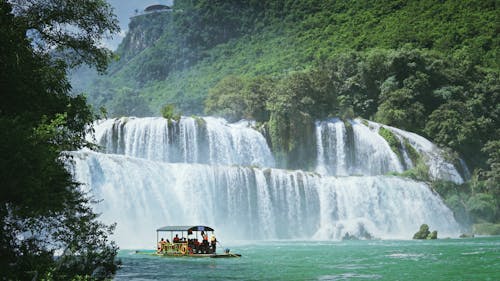 Fotos de stock gratuitas de agua que fluye, arboles, aventura