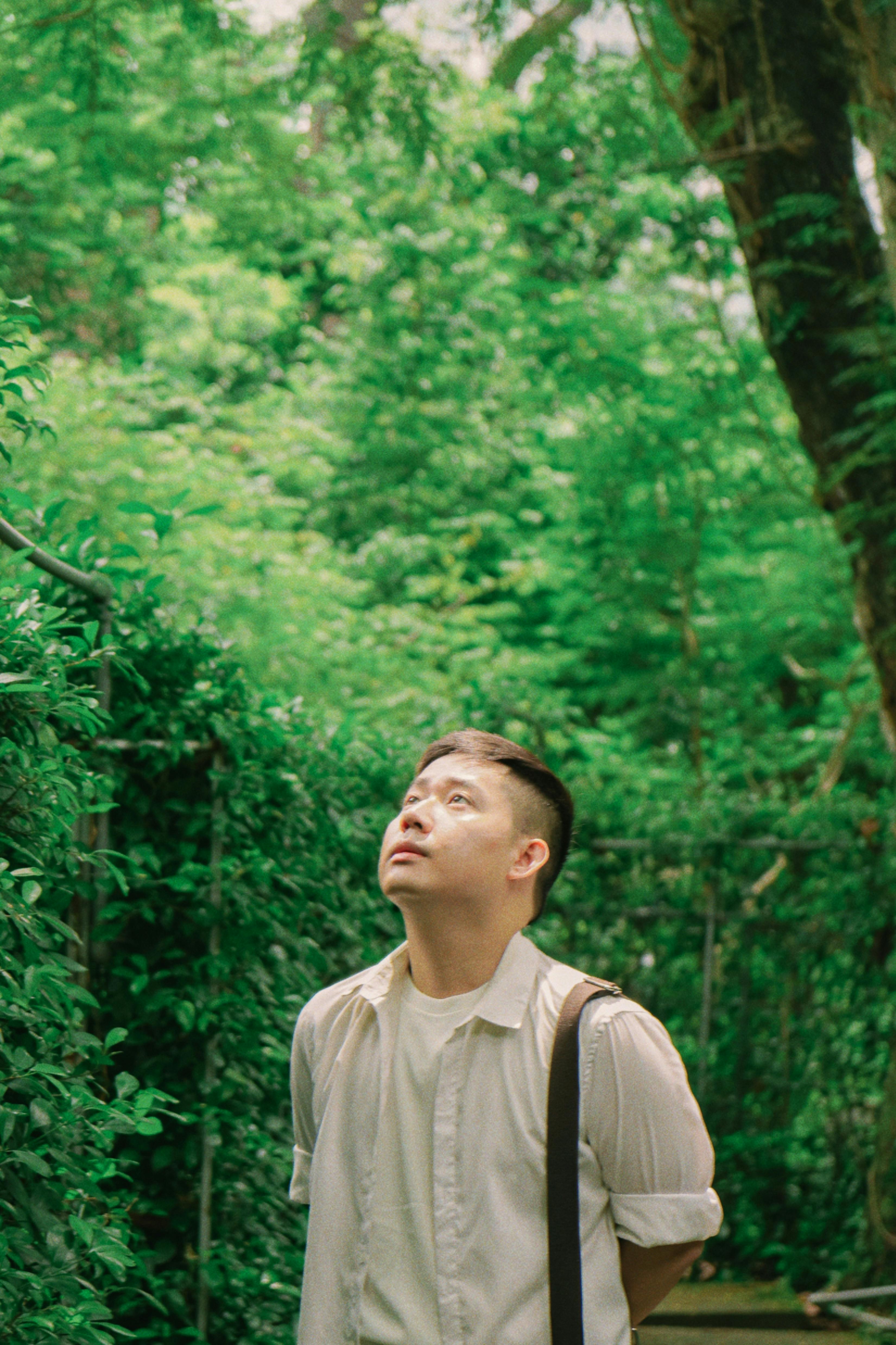 An adult male looks up amidst a verdant forest for a serene summer scene.