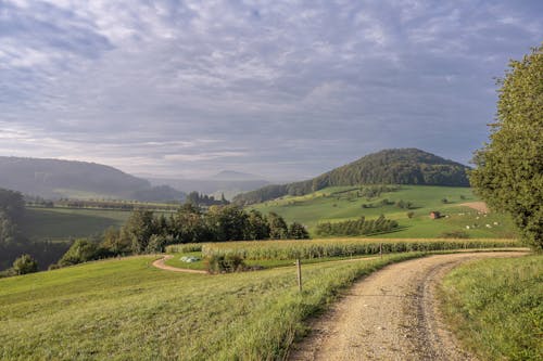 Imagine de stoc gratuită din câmp, dealuri, drum de pământ