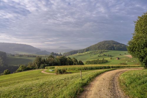 Free A tranquil rural scene featuring a dirt road winding through lush green fields and rolling hills under a cloudy sky. Stock Photo