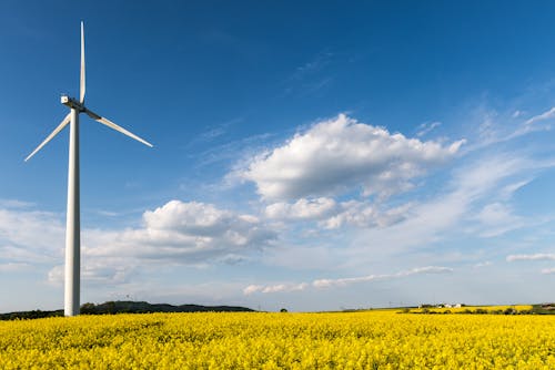 Безкоштовне стокове фото на тему «вітрова енергія, вітрогенератор, жовтий»