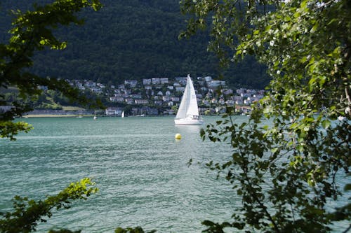 A Sailboat on a Lake