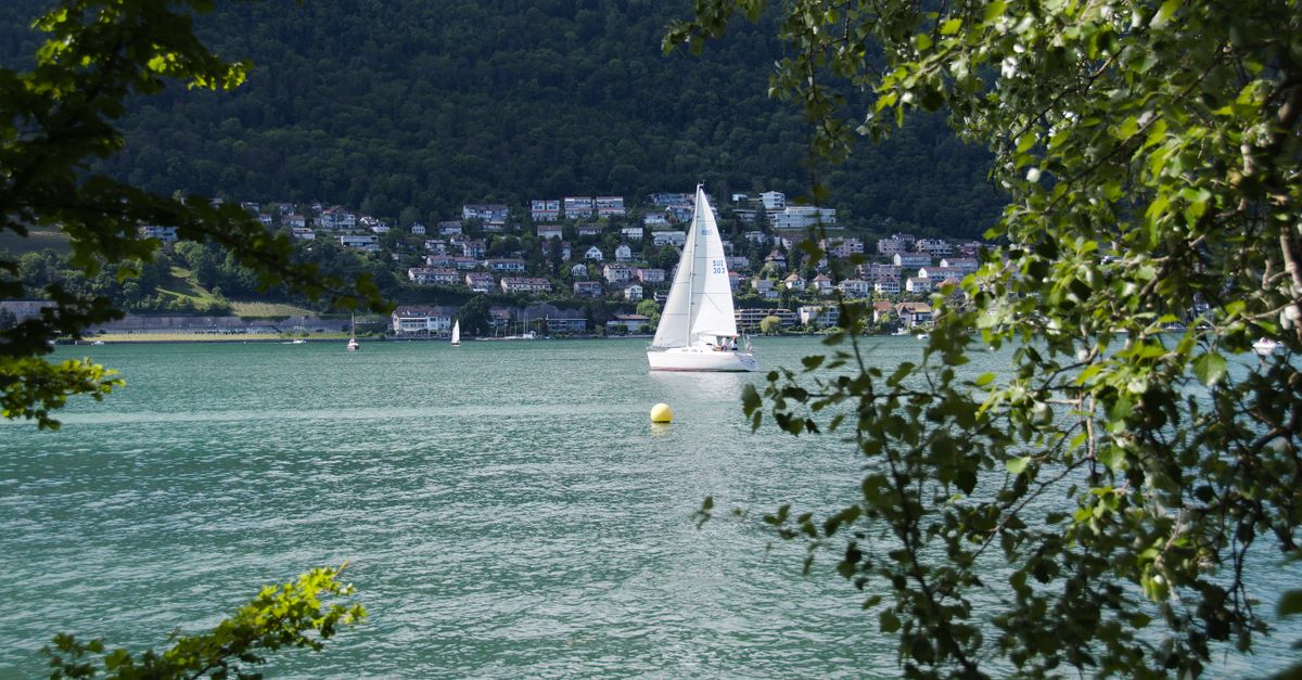 A picturesque sailboat on Lake Biel framed by foliage, with a Swiss town in the background.