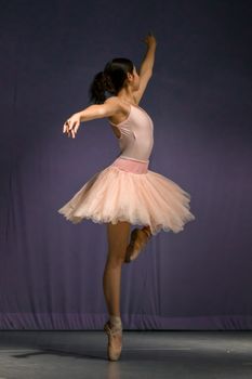 A graceful ballerina in a pink tutu performs a dance on stage, showcasing elegance and poise.