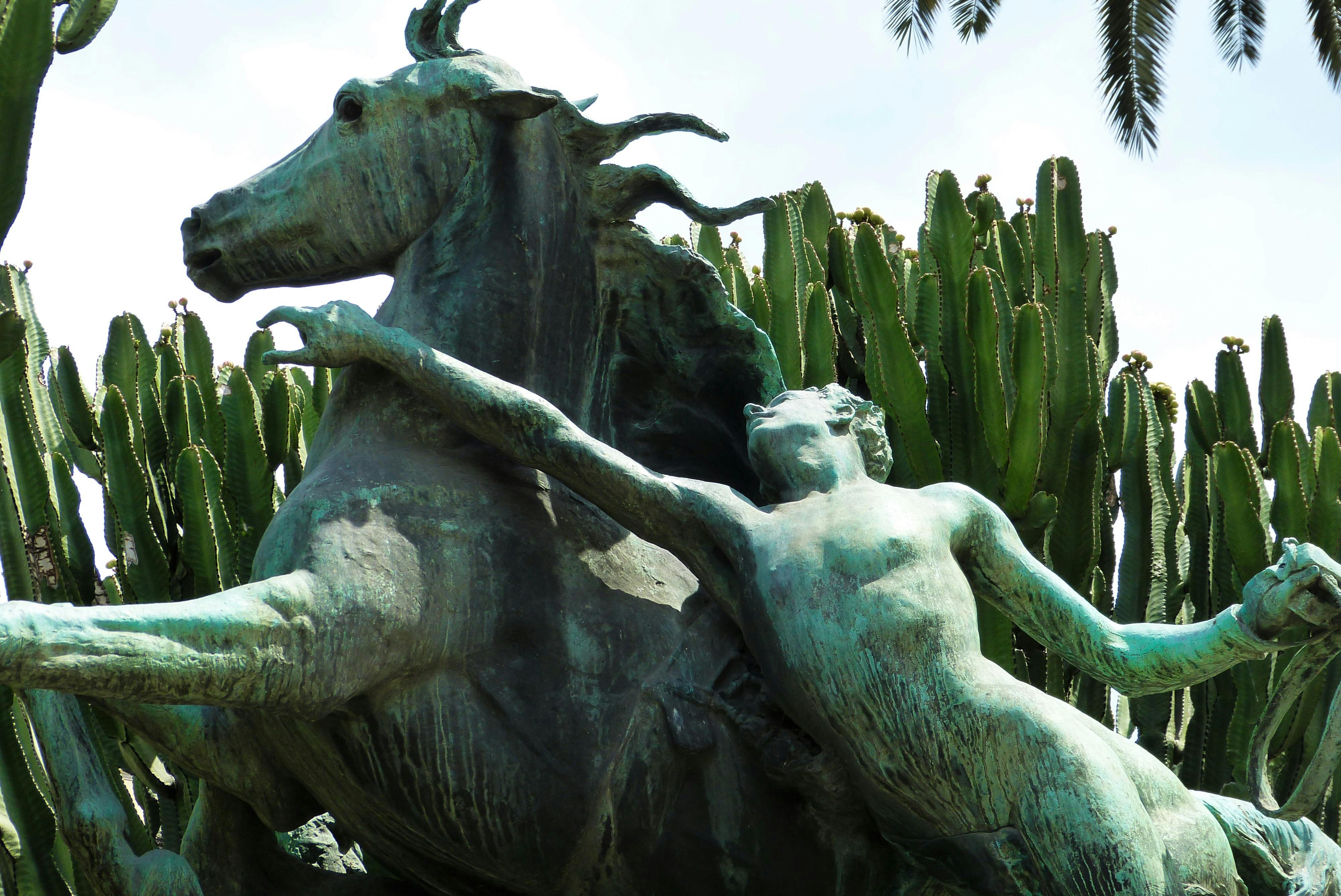 Free stock photo of cacti, horse, monument