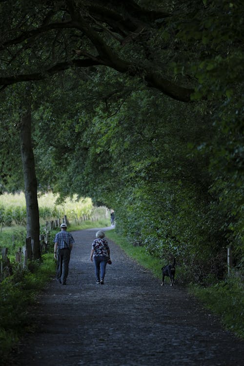 Elderly Couple Walking Their Dog