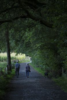A senior couple walks with their dog along a serene cobblestone path lined with lush trees.