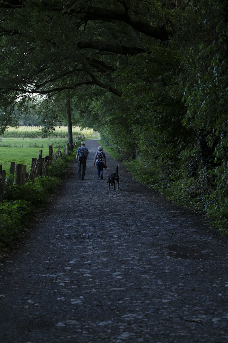 Elderly Couple Walking Their Dog On A Road Paved With Stones