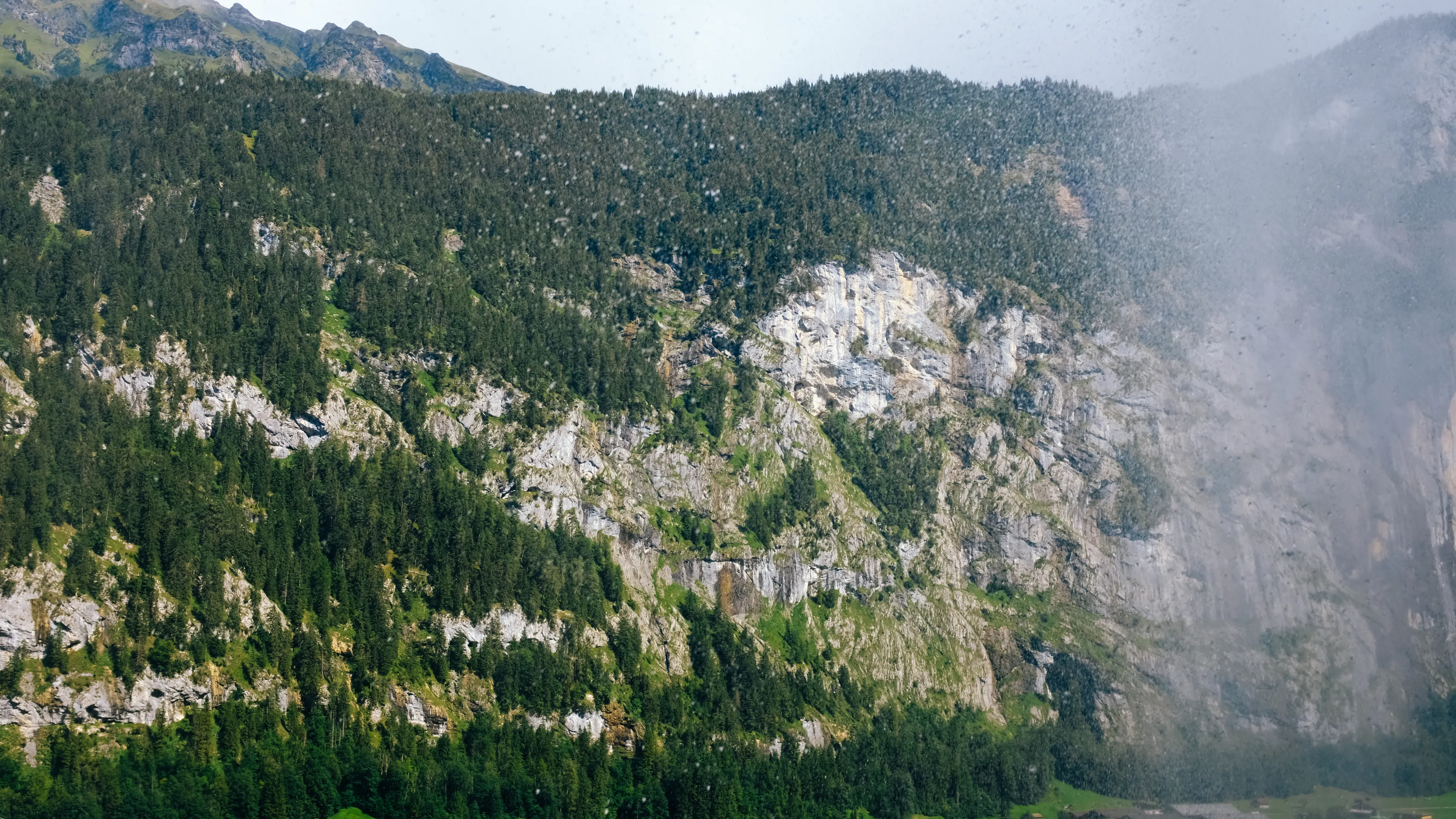 A stunning view of a forested cliff with green fields below, captured in summer.