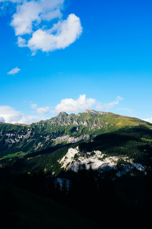 Imagine de stoc gratuită din cer albastru, dealuri, fotografiere verticală