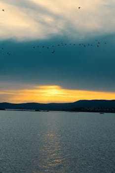 Silhouette of birds flying over a tranquil lake at sunset, capturing nature's serene beauty.