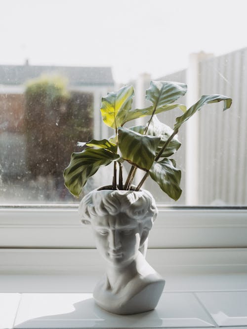 A Plant in a Pot in the Shape of Statue of a Man