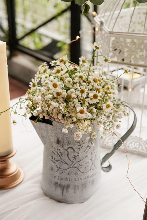 Free Charming chamomile flowers arranged in a vintage watering can, perfect for rustic décor inspiration. Stock Photo