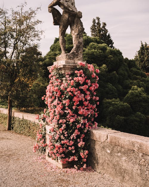 Pink Flowers on Wall under Sculpture in Garden in Park