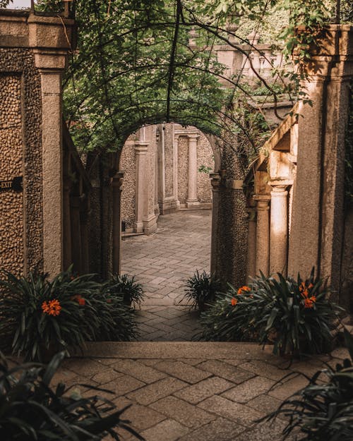 Plants in Alley in Town