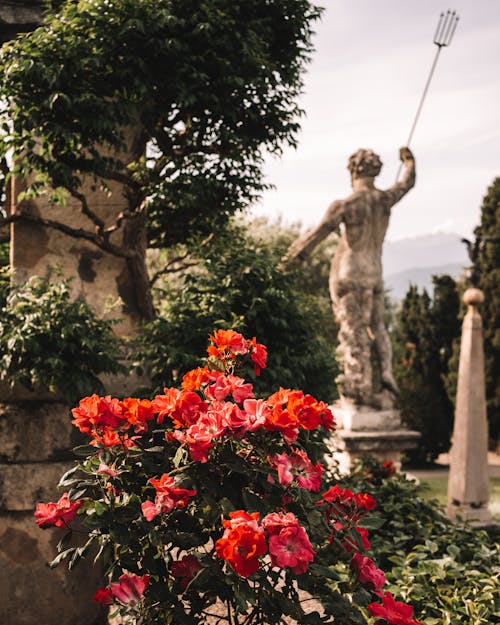 Flowers in Garden in Park