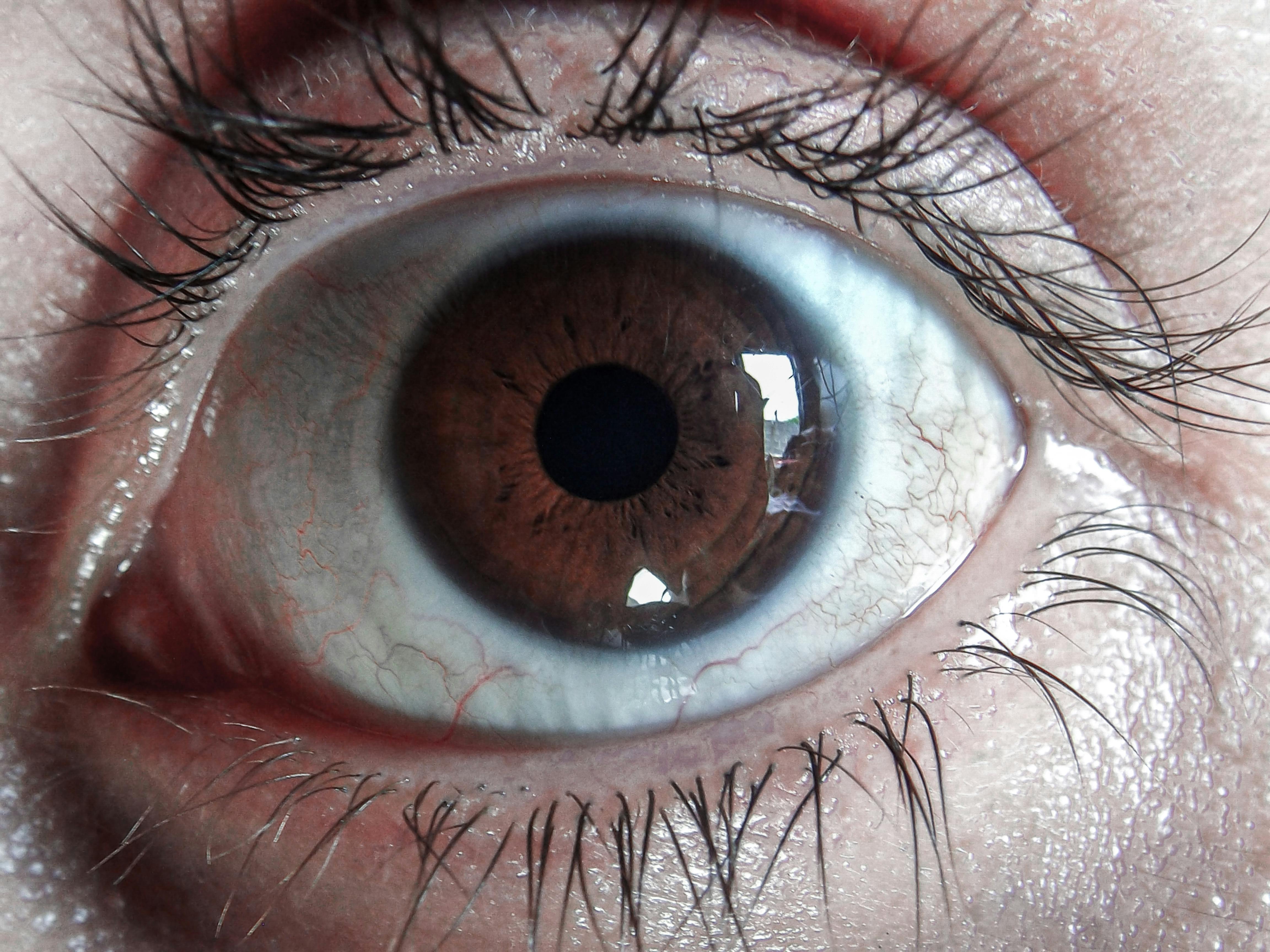 Free stock photo of beautiful eyes, big eyes, brown eyes