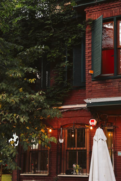 A Tree in front of a Red Brick Building in City