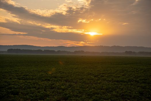 Serene sunset over a rural field in Minnesota, capturing a dramatic sky and peaceful atmosphere.