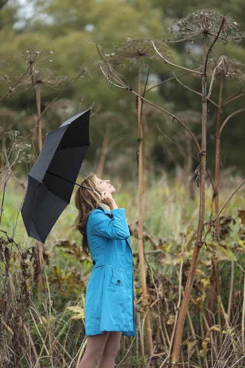 Fotobanka s bezplatnými fotkami na tému dáždnik, držanie, móda