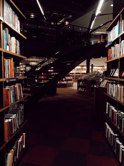 무료 도서관에 모듬 된 책 스톡 사진