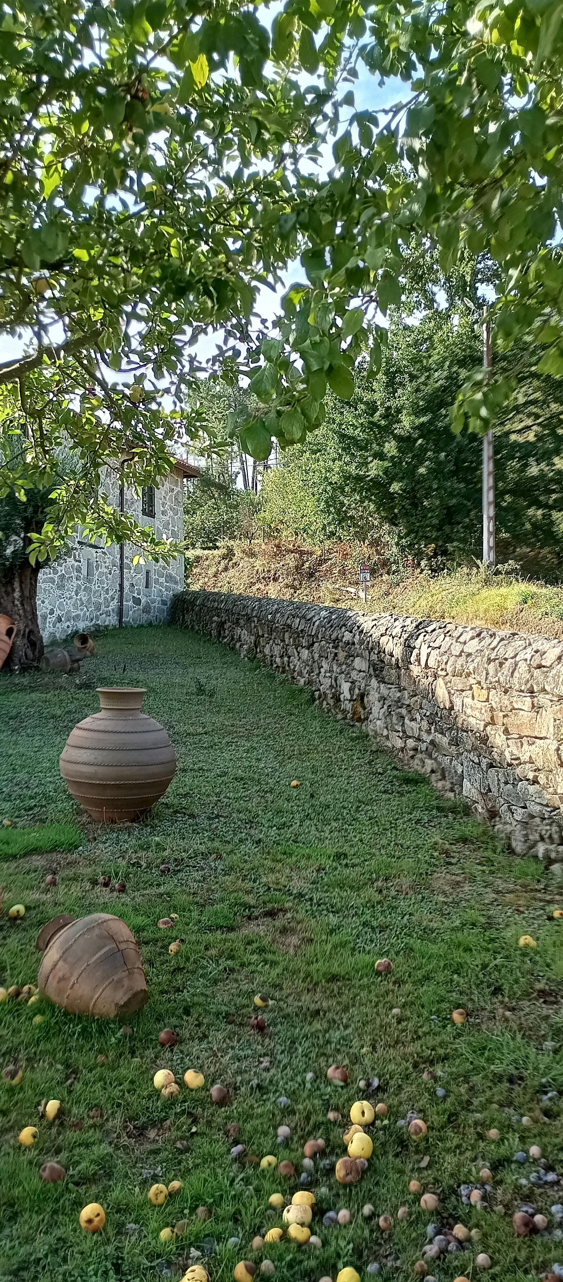 Rua estreita em uma vila portuguesa