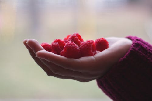 Free Person Holding Bunch of Raspberries Stock Photo