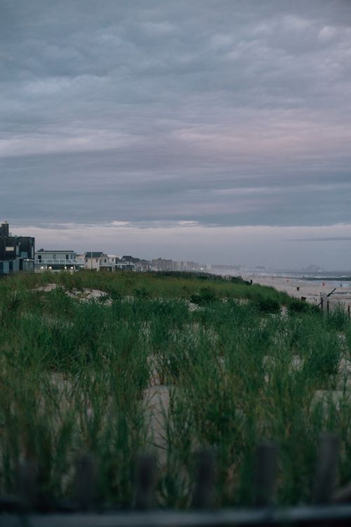 Free Serene view of a beachfront in New York with grass, clouds, and distant buildings. Stock Photo