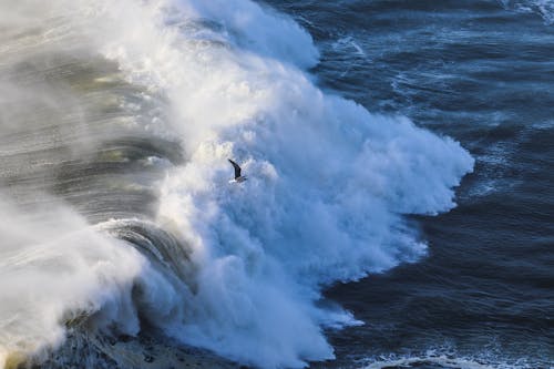 Foto profissional grátis de água, borrifar, mar