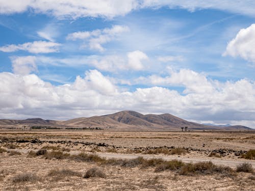 Desert Landscape and Distant Mountains 