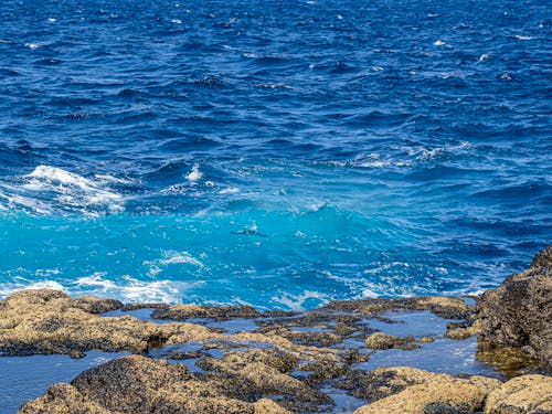 Waves by the Rocky Shore 