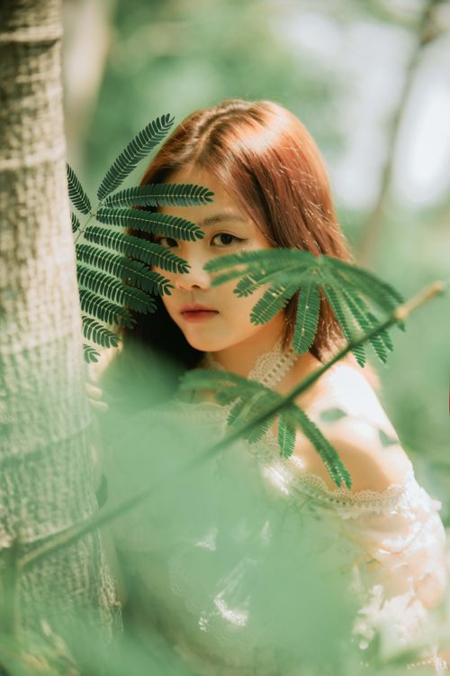 Free Photo of a young woman partially hidden by leaves, with summer sunlight creating a serene atmosphere. Stock Photo