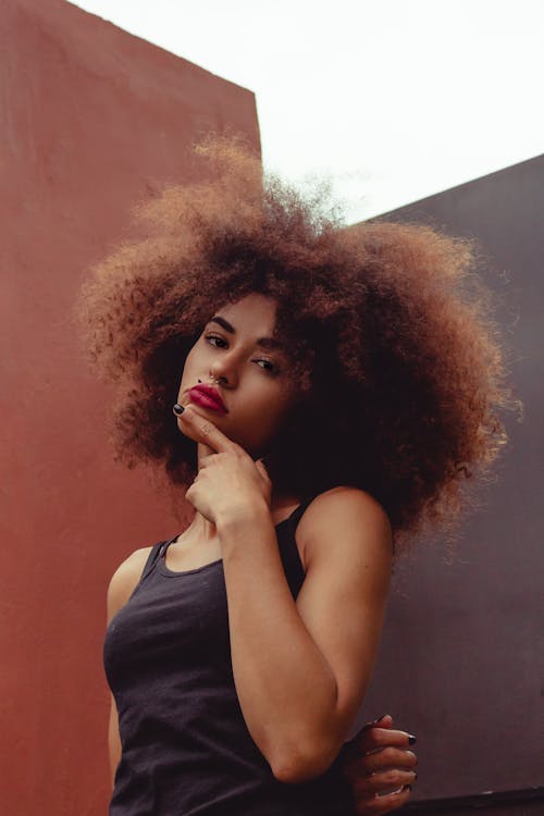 Fotobanka s bezplatnými fotkami na tému Afroameričanka, afroúčes, atraktívny