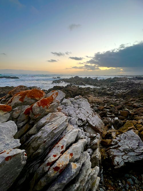 Ingyenes stockfotó agulhas, Dél-Afrika, Fokváros témában