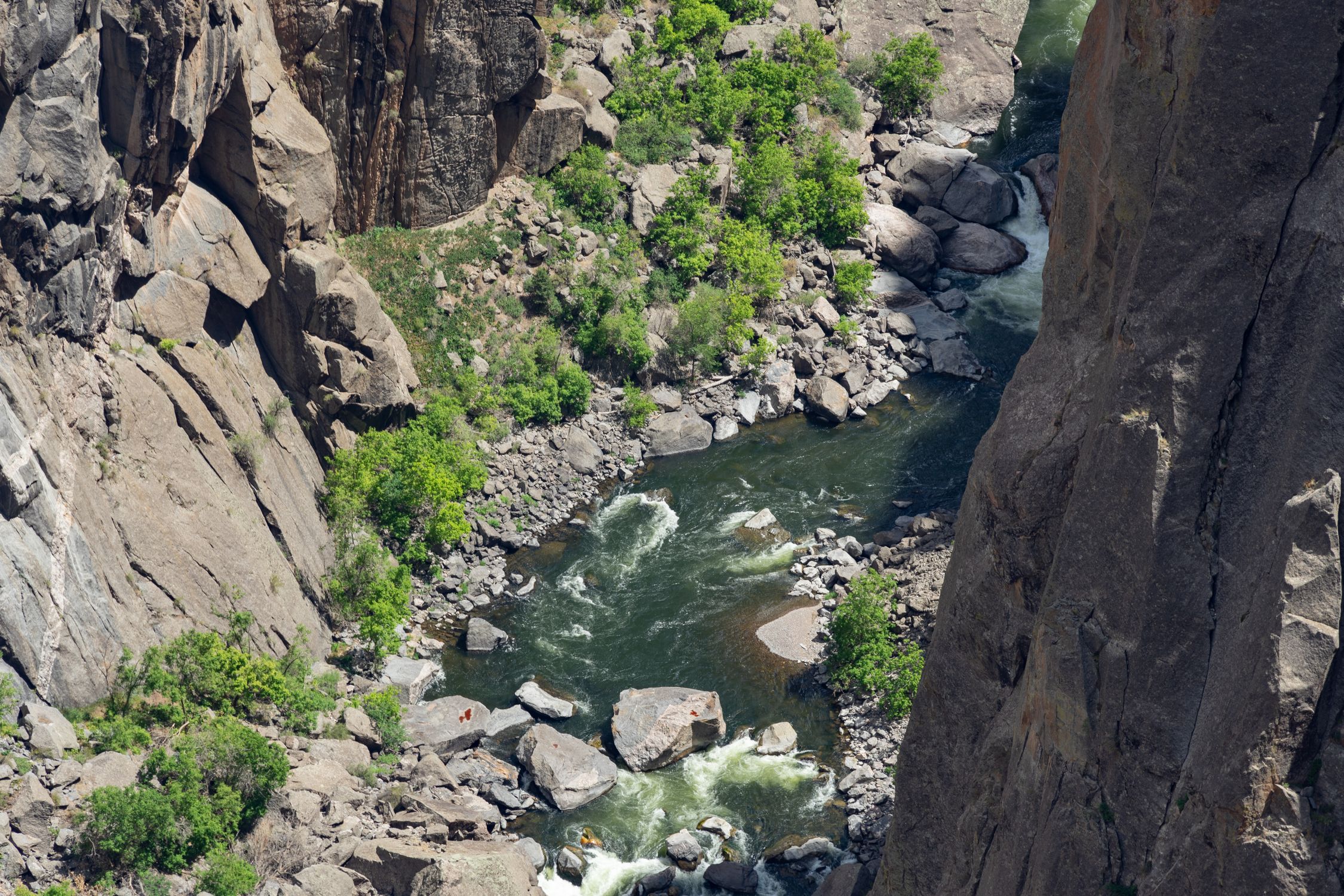 A vibrant stream flowing through rocky canyon walls in Gunnison, showcasing summer greenery.