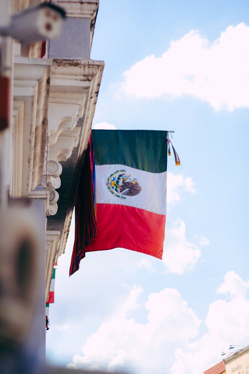 Mexico Flag Photos, Download The BEST Free Mexico Flag Stock Photos