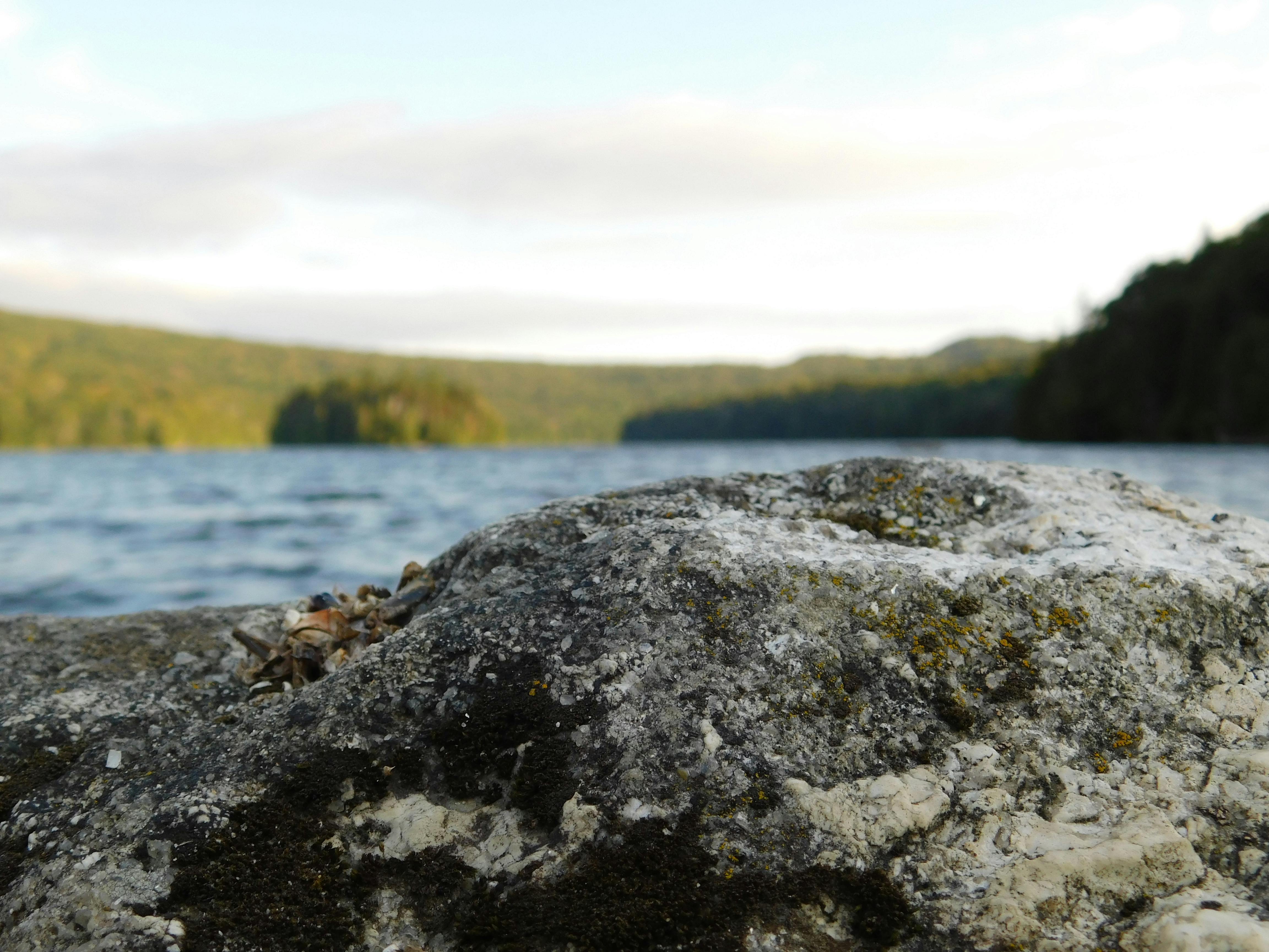 Free stock photo of lake, rock, summer