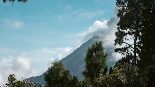 Kostenloses Stock Foto zu guatemala, natur, trekking