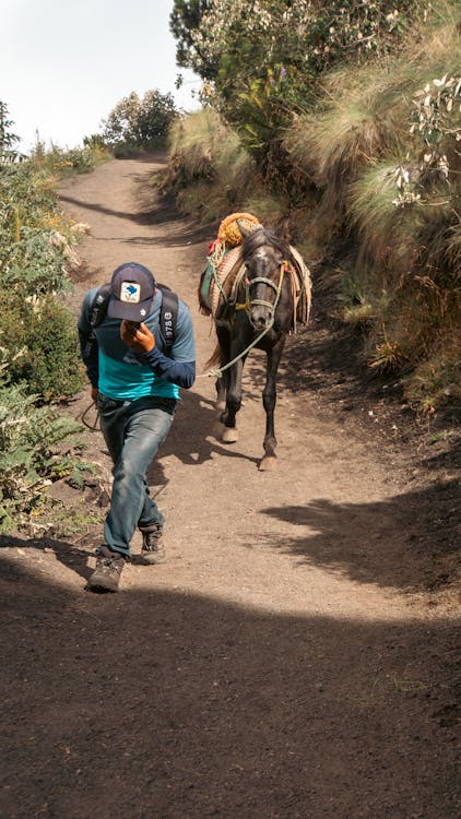 Gratis lagerfoto af guatemala, natur, trekking