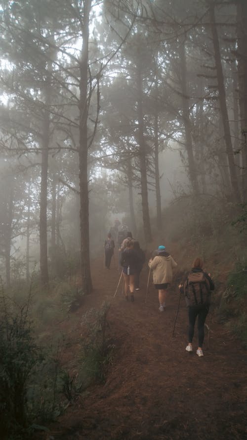 Foto stok gratis alam, guatemala, trekking